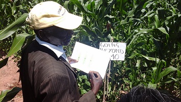 On- farm field days demonstrate Conservation Agriculture beyond the demo plots